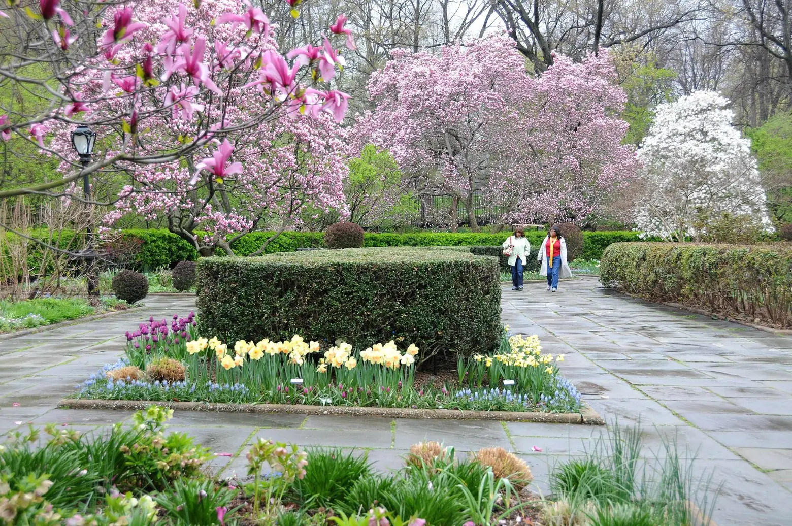 Central Park Conservatory Garden, Central Park Conservancy