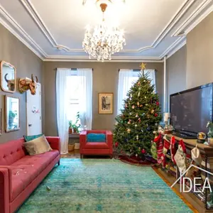 416 henry street, christmas tree, living room, rental, brooklyn rental