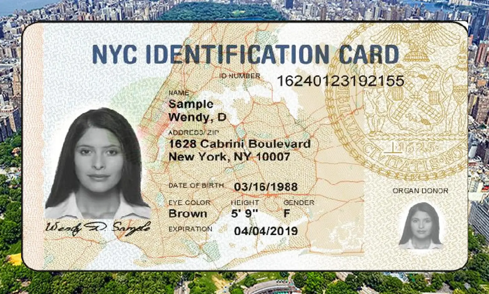 NYC Municipal ID Card Holders Will Get Even More Free Stuff in 2016