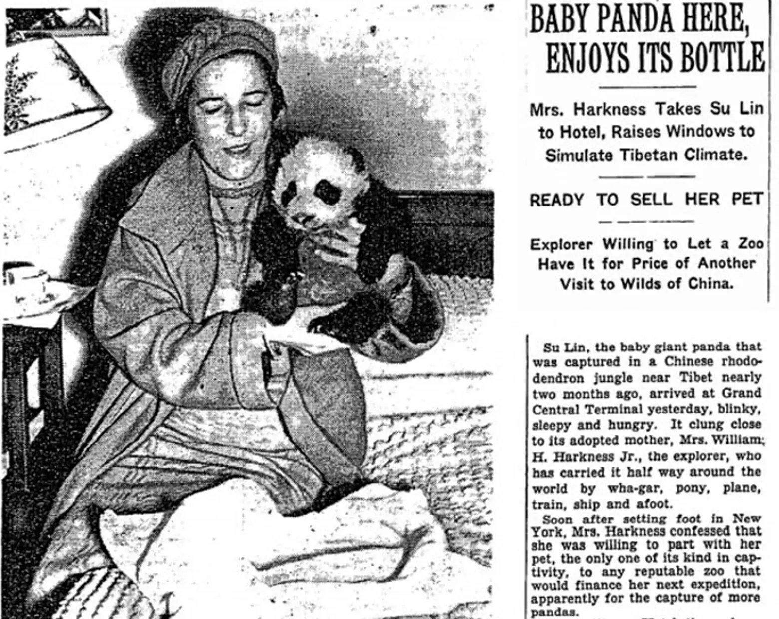 The First Panda Ever in the U.S. Lived in a NYC Apartment