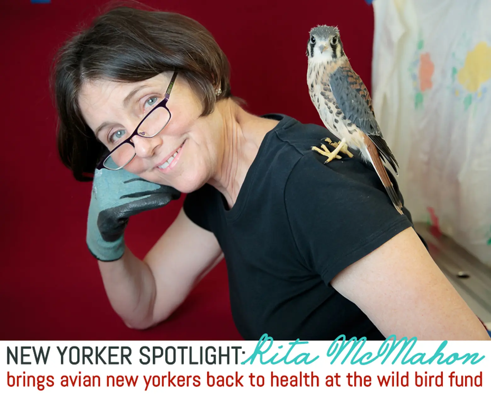 Spotlight: Rita McMahon Brings Avian New Yorkers Back to Health at the Wild Bird Fund