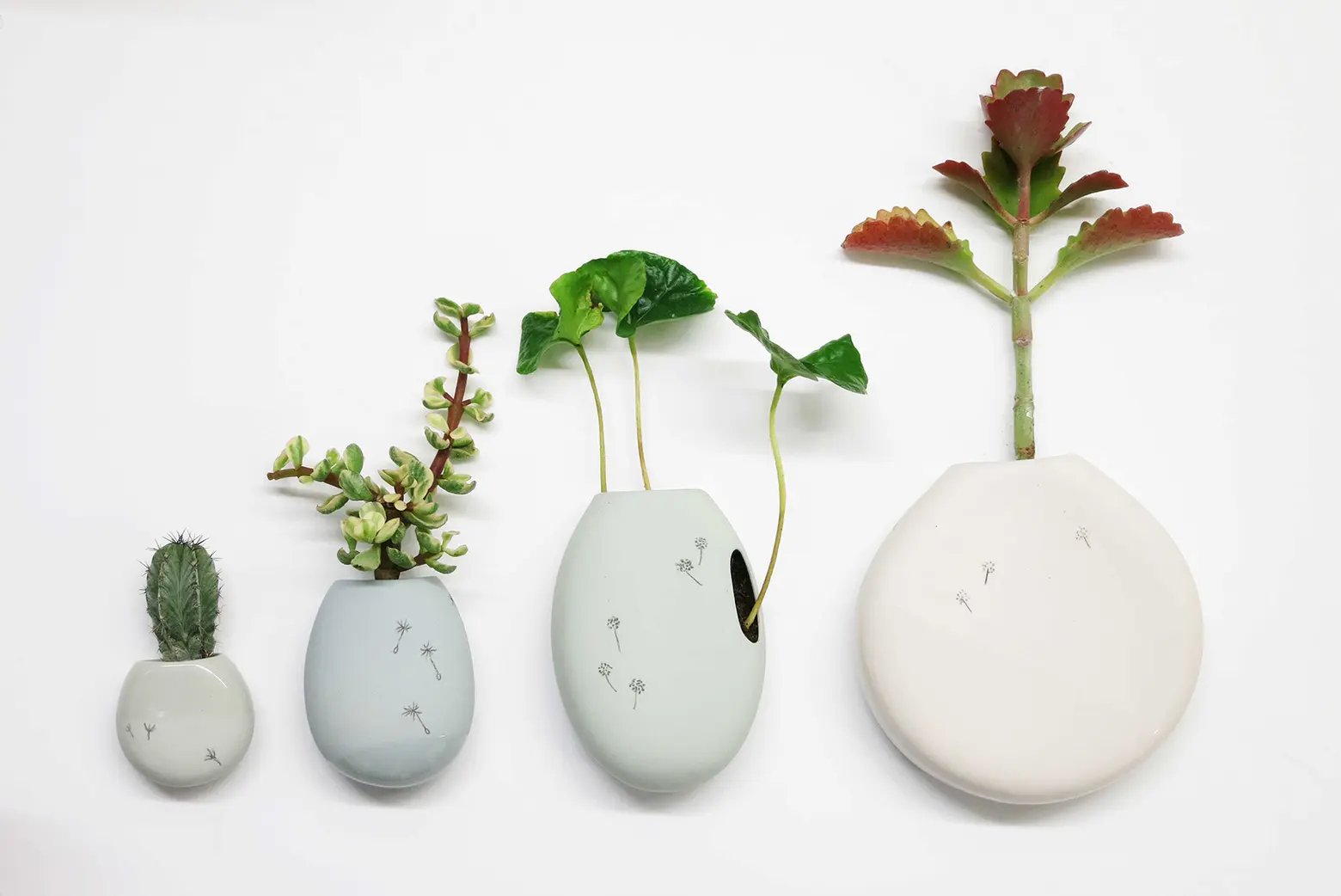 Ceramic ‘Wall Pockets’ Turn Plain White Walls Into Green Vertical Gardens