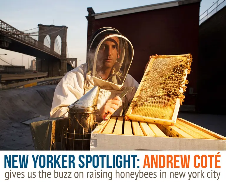 Spotlight: Beekeeper Andrew Coté Gives Us the Buzz on Raising Honeybees in the City