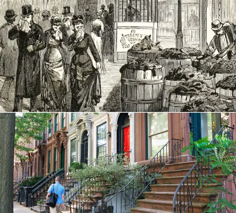 How horse poop inspired the New York City stoop