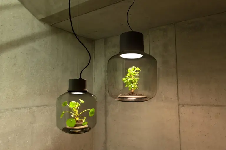 Mygdal Plantlamp Makes it Easy to Grow Plants in the Dreariest Basement or Cubicle