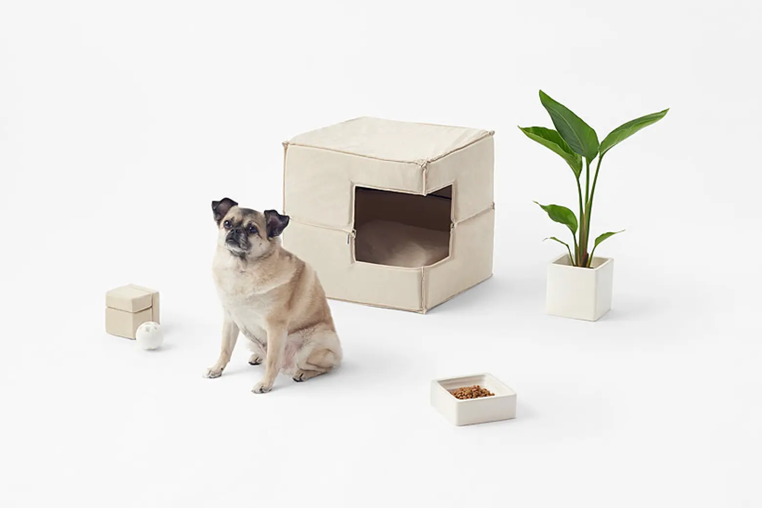 Nendo’s Minimalist Line of Pet Lifestyle Products Is Designed to Match Your Decor