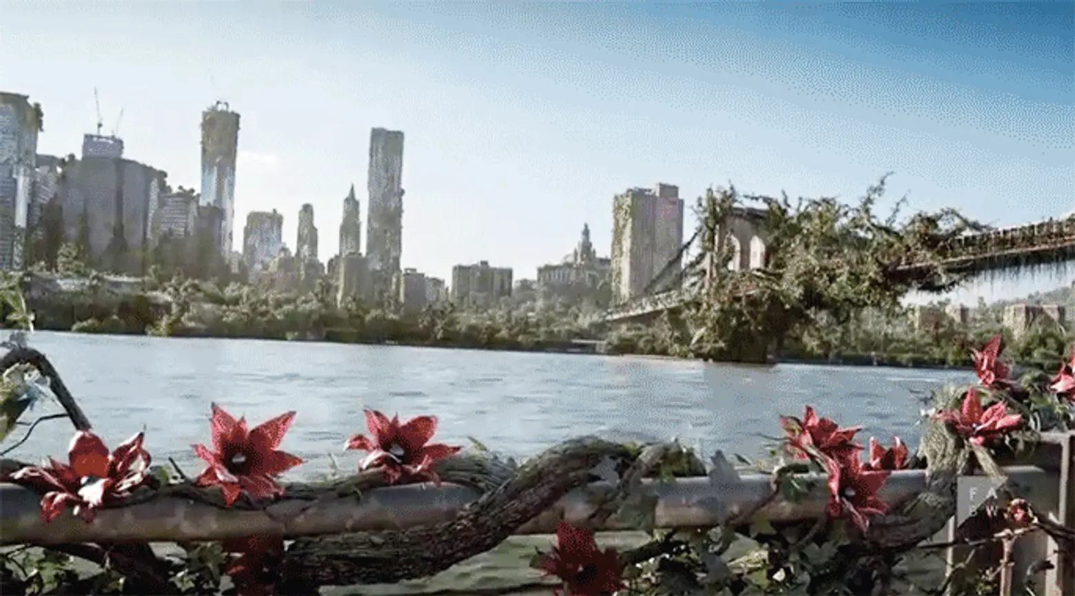 VIDEO: Watch Plants Consume New York in This Beautiful Short Film ‘Wrapped’
