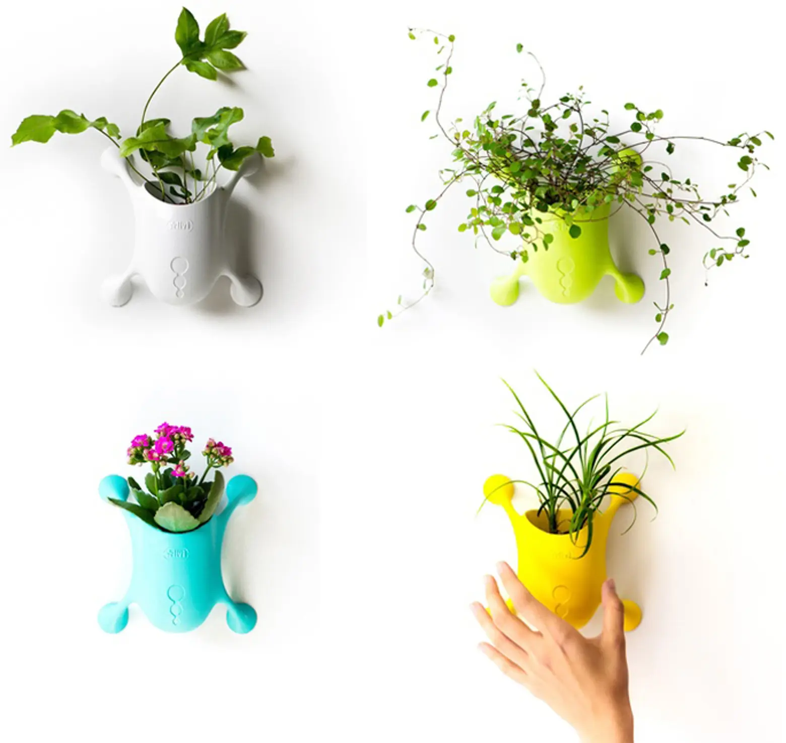 Livi Transforms the Traditional Flower Pot With Biomimicry and a Smart Stick-On Design