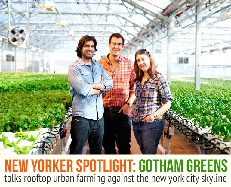 Spotlight: Gotham Greens Talks Rooftop Farming Against the New York Skyline