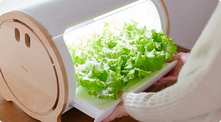 Grow Vegetables in Your Apartment Effortlessly With Foop and Your Smartphone