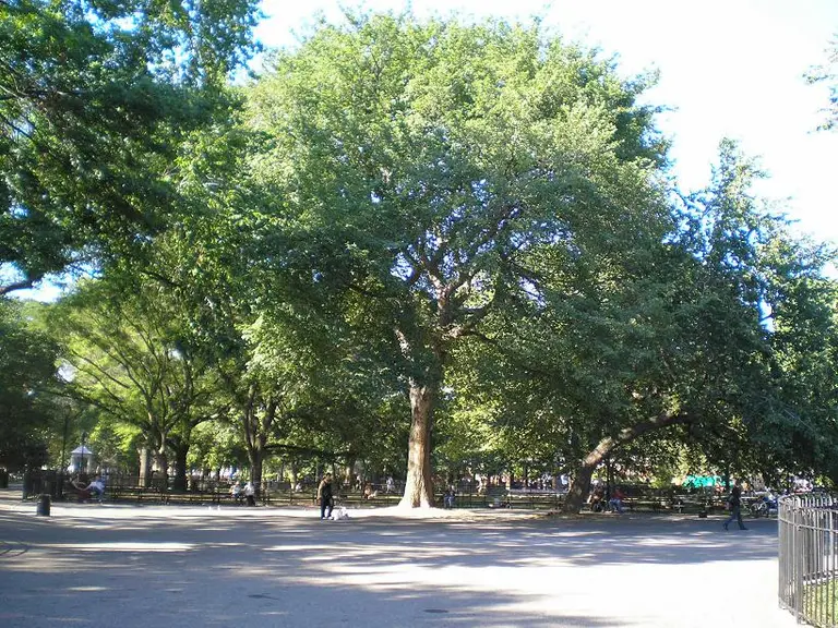 The Hare Krishna Tree in Tompkins Square Park Is Where the Religion Was Born in the West