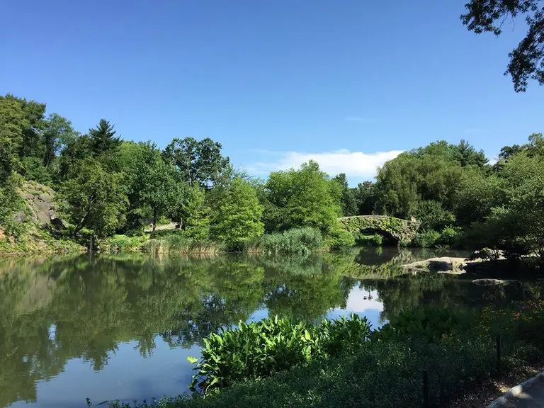 Forgotten Four Acres of Central Park Reopens to Visitors After Almost 90 Years