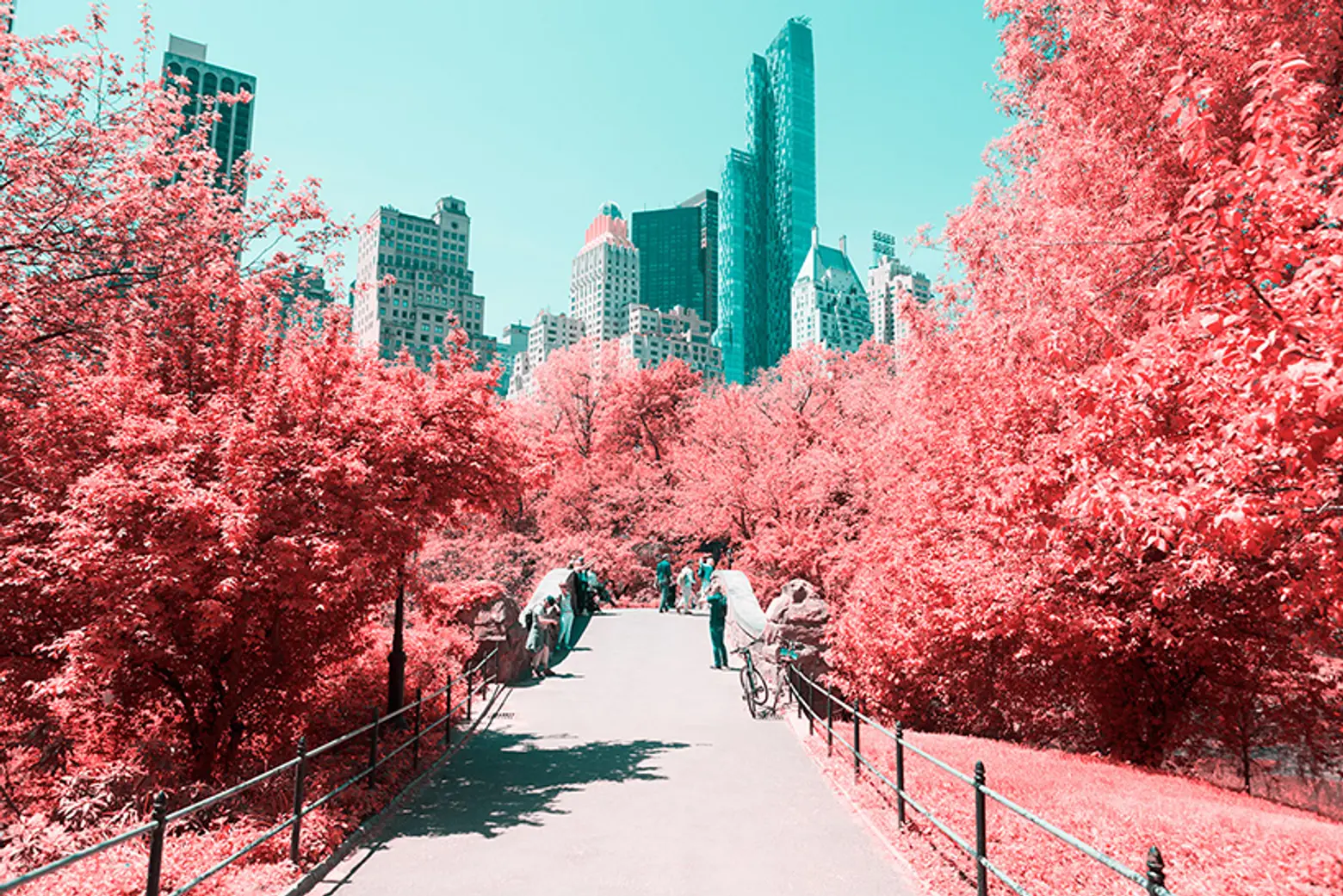 Infrared Photos Show Central Park in Candy Colors; Pier 55 vs. London’s Garden Bridge