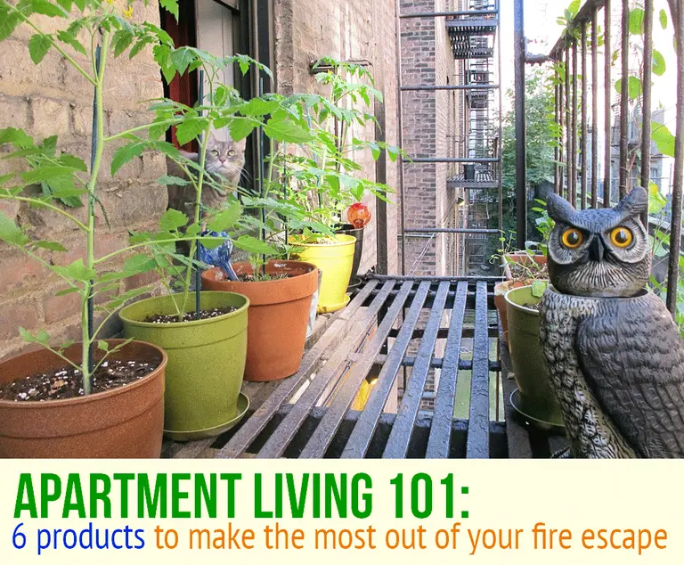 6 Products to Make the Most Out of Your Fire Escape This Summer