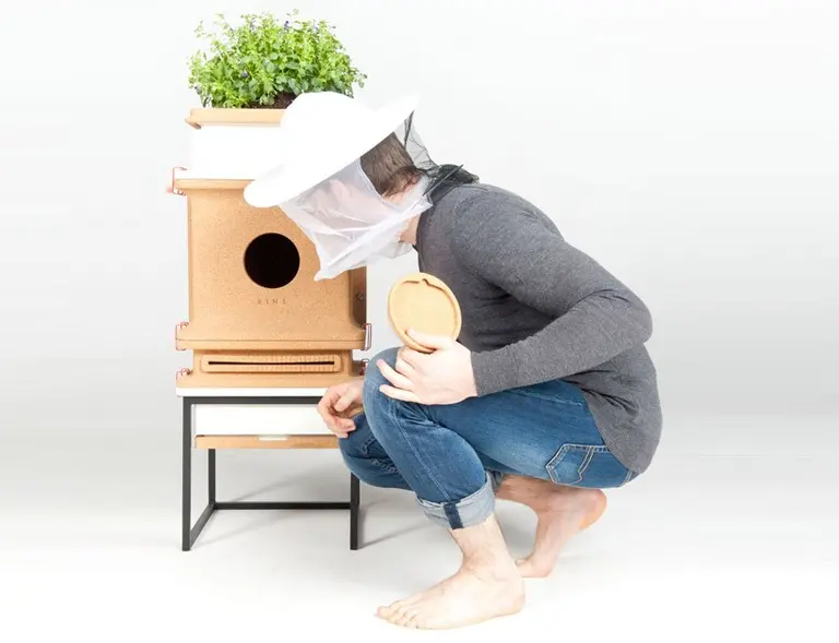 This Hive Lets Urbanites Raise Bees in Style