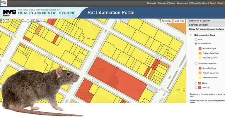 Find Out if a Building Has Rats Using the City’s Interactive Map