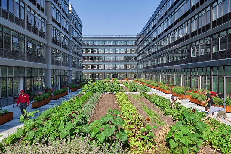 New Photos of NYC’s First Residential Urban Farm at Urby Staten Island