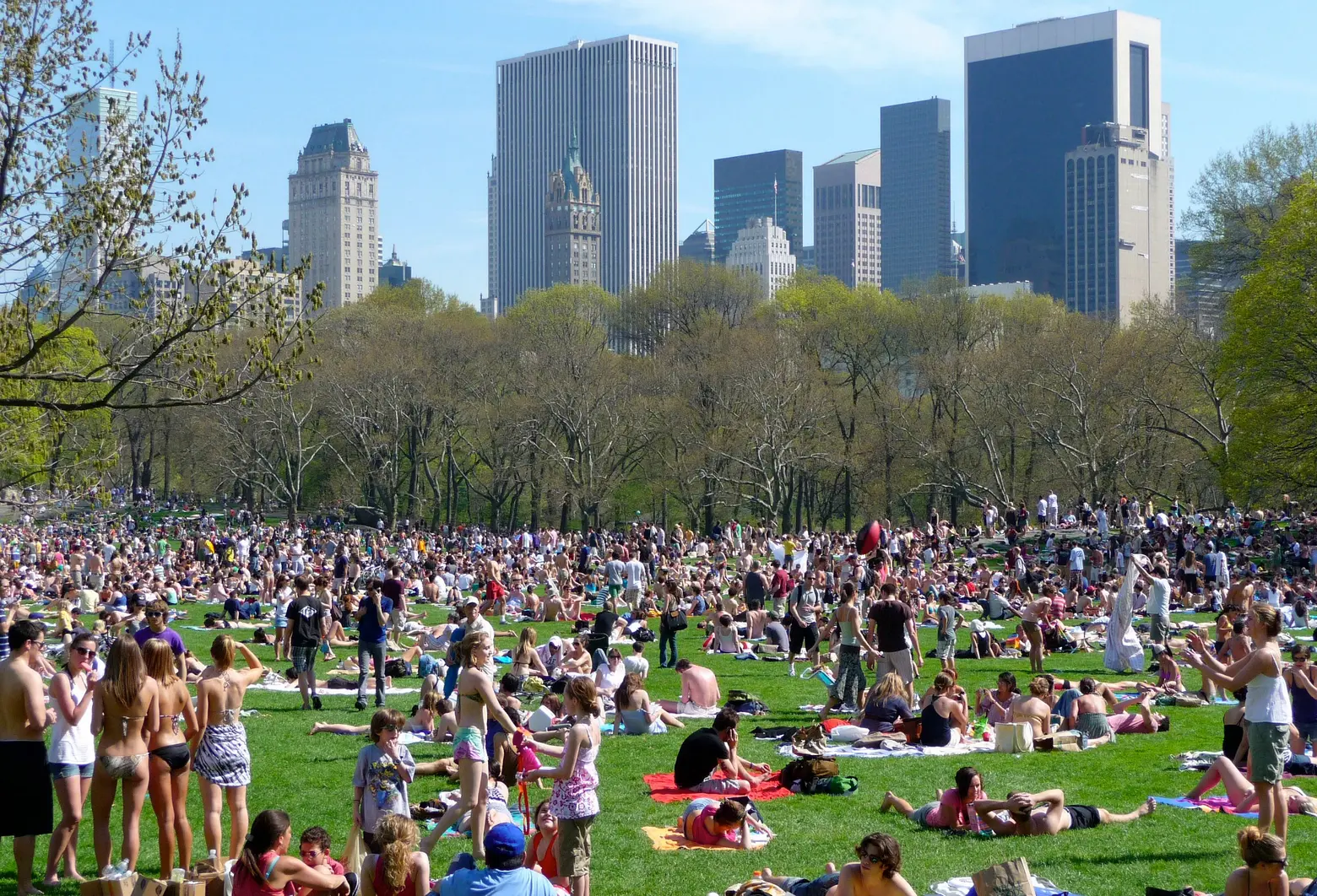 POLL: Have You Noticed Overcrowding in City Parks?