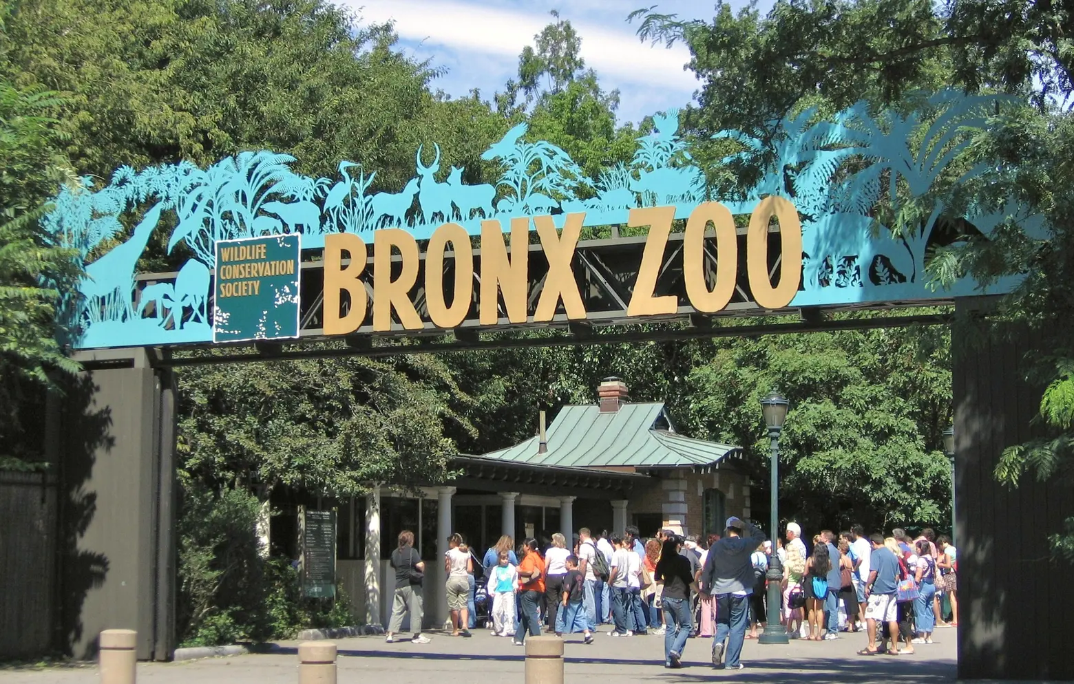 Live a block from the Bronx Zoo for $1,348/month, lottery opening for nine units in Belmont