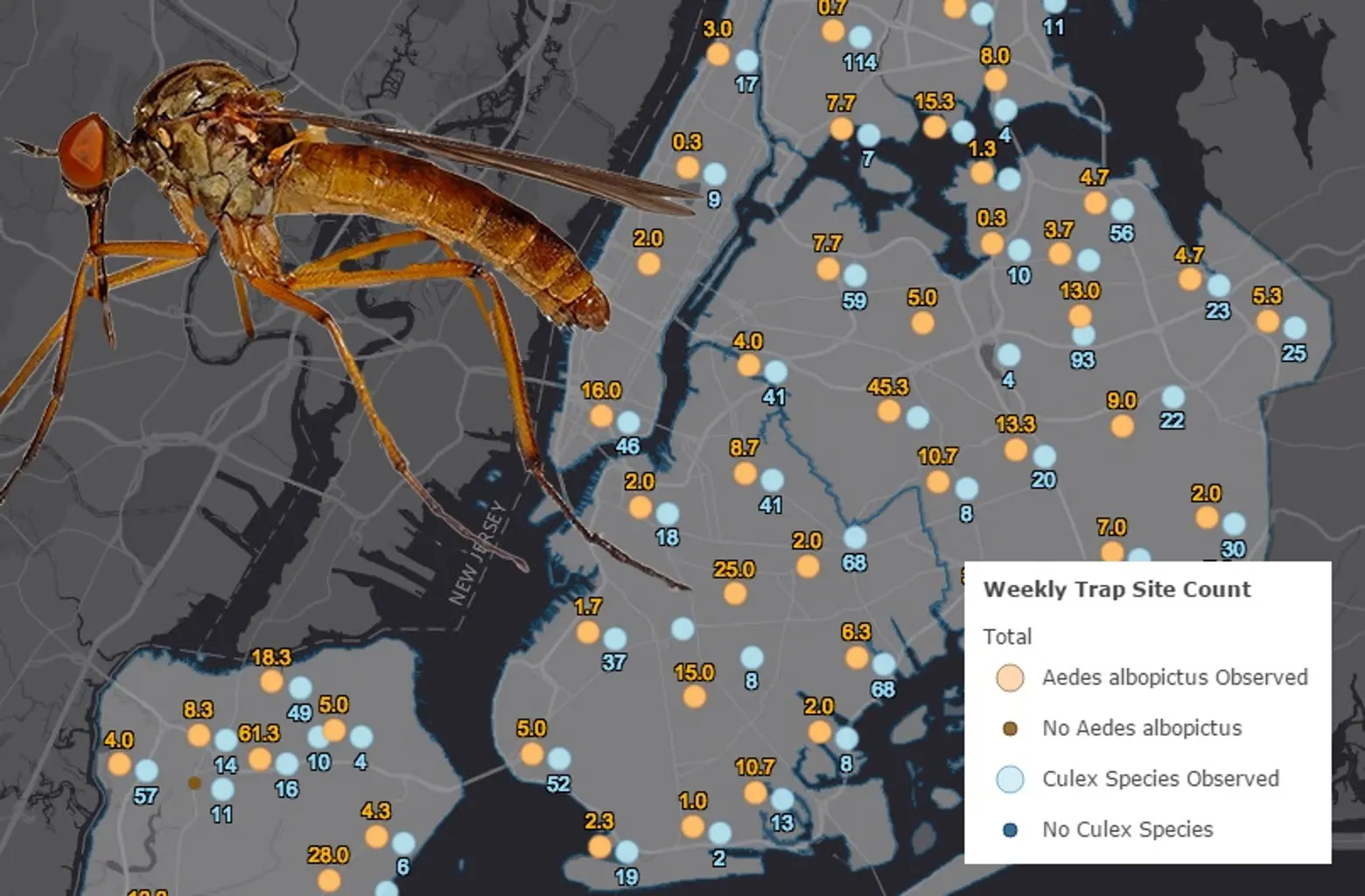 MAP: Know where the city is spraying for mosquitoes and where there’s potential for West Nile