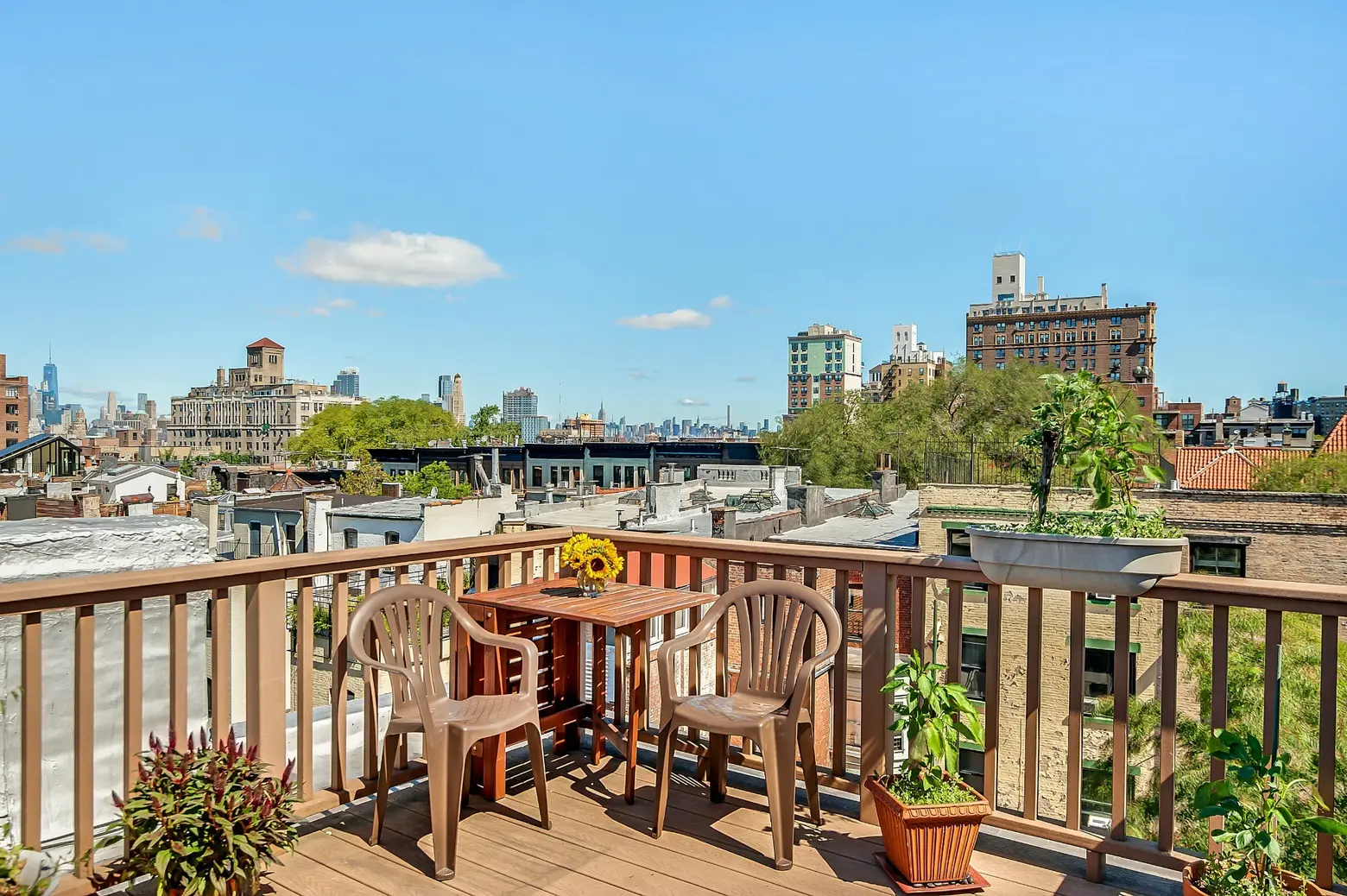 53 Montgomery Place, Park Slope, Co-op, hidden kitchen, outdoor space, roof deck, brooklyn, cool listing