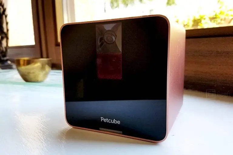Play with your pets and others’ pets with Petcube’s interactive camera