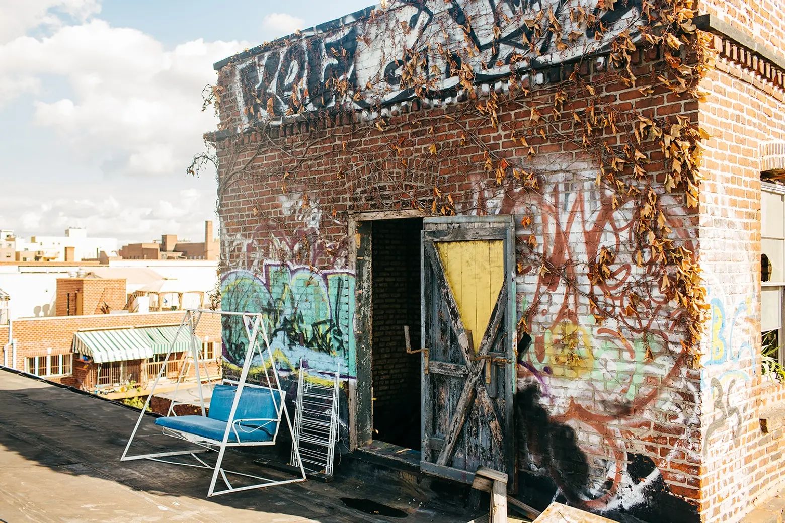 Artist-Chad-Lewine-Brooklyn-Navy-Yard-Loft-roof