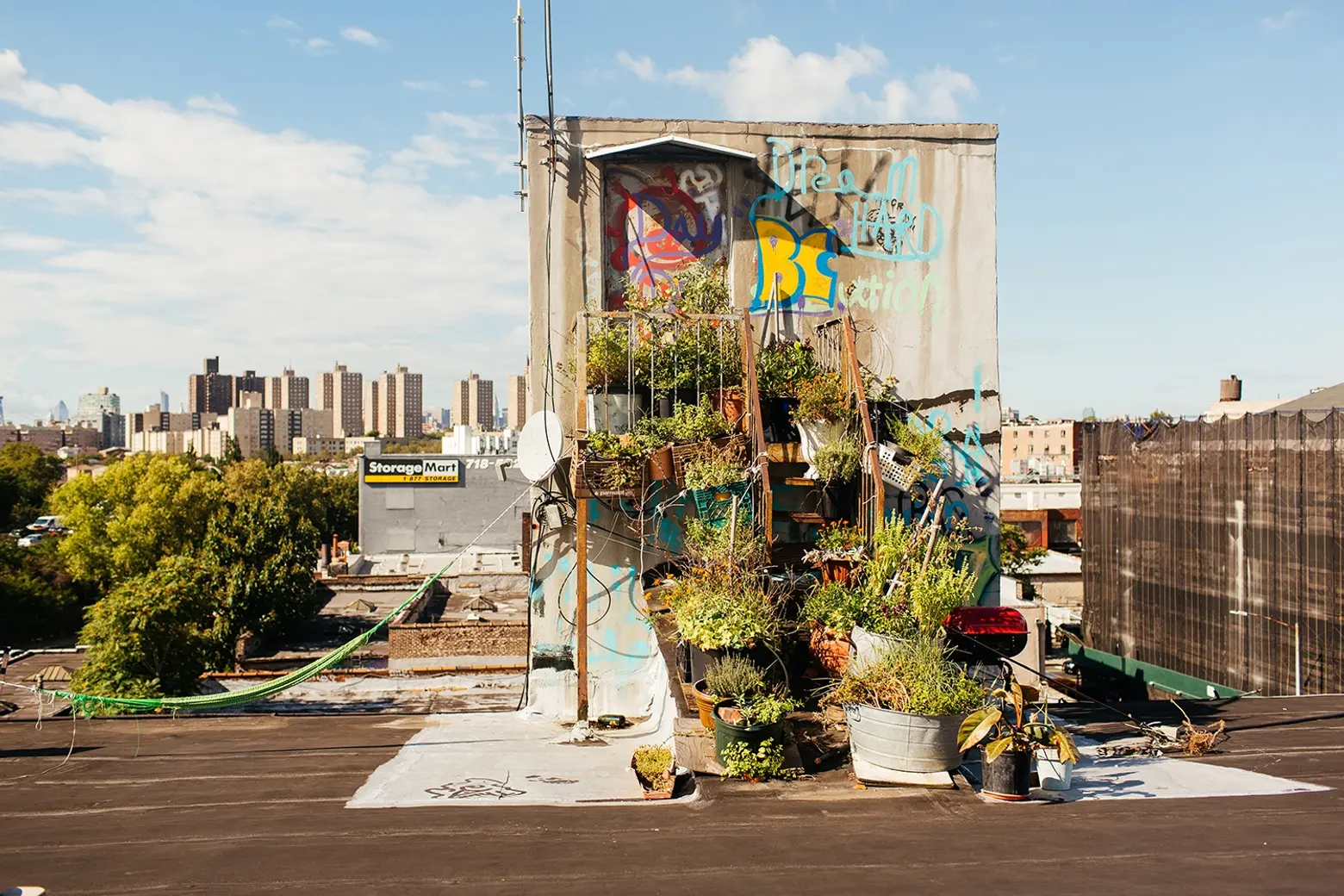 Artist-Chad-Lewine-Brooklyn-Navy-Yard-Loft-roof-garden