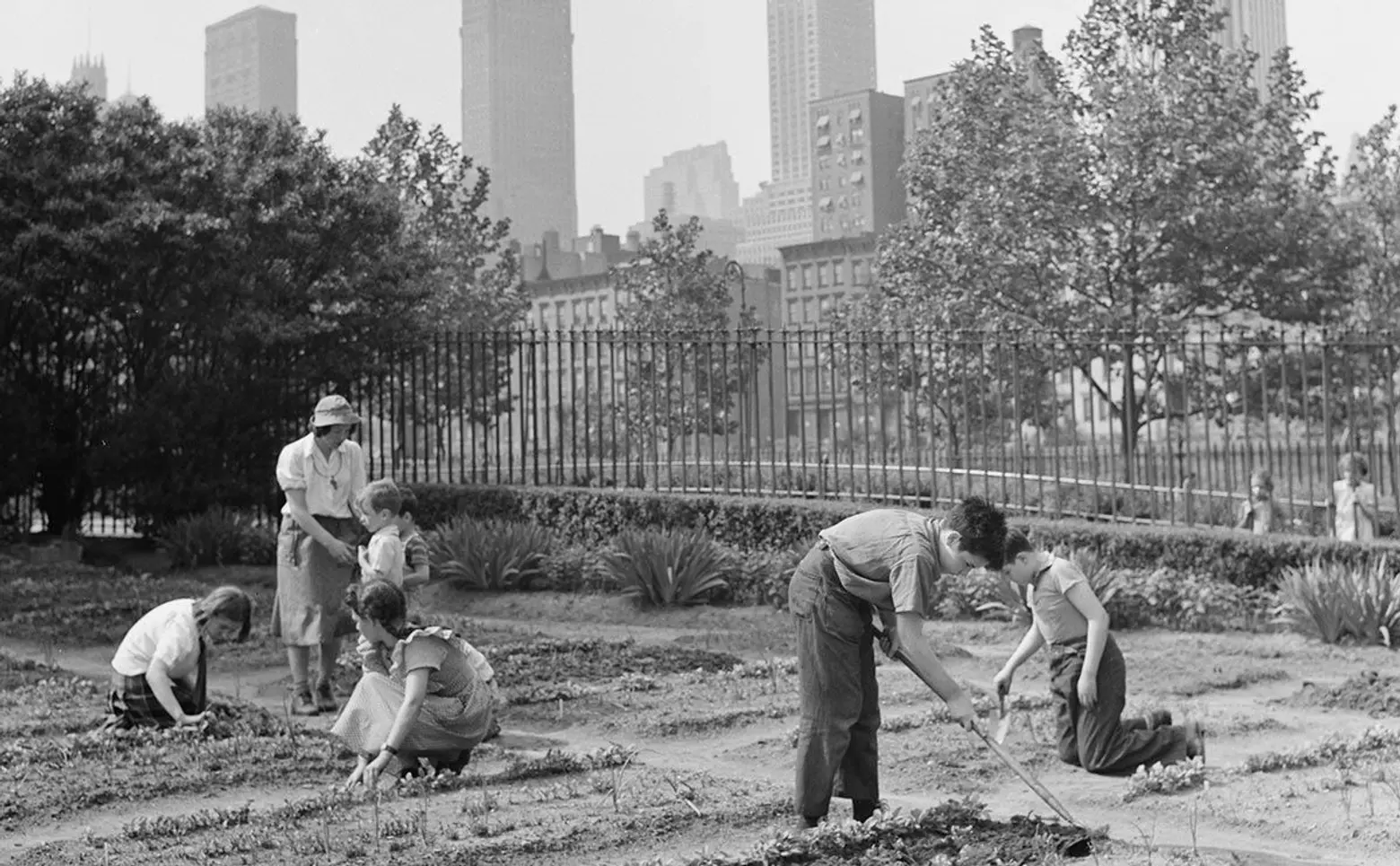 New York’s 1940s ‘victory gardens’ yielded a whopping 200 million pounds of produce