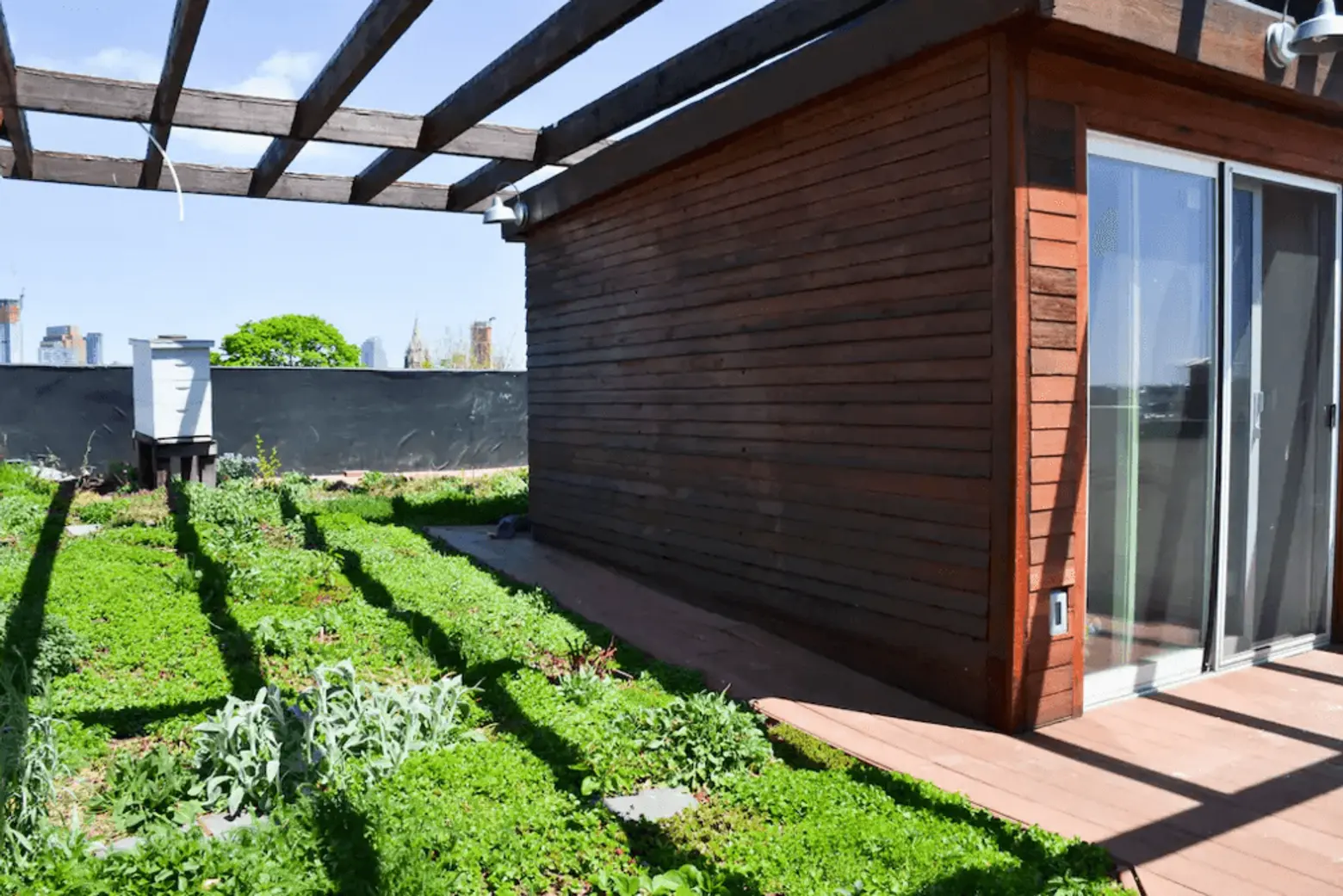 eco-triplex-brooklyn-green-roof
