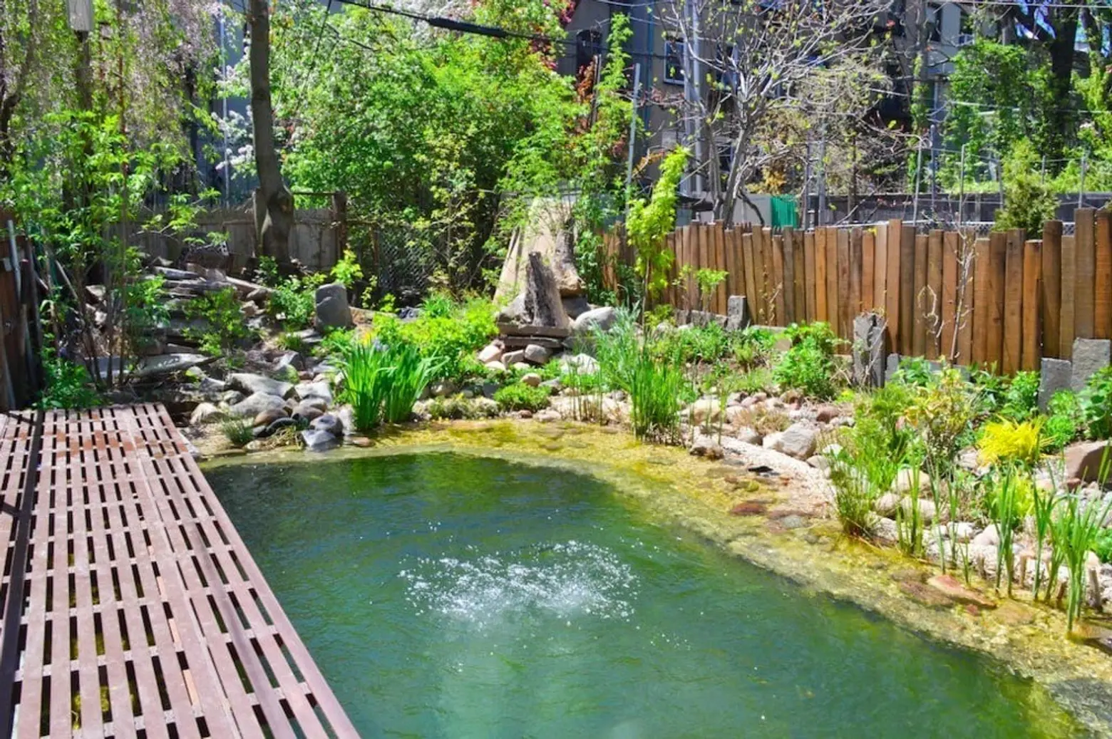 Brooklyn ‘eco triplex’ with natural swimming pool and green roof renting for $1,400/night