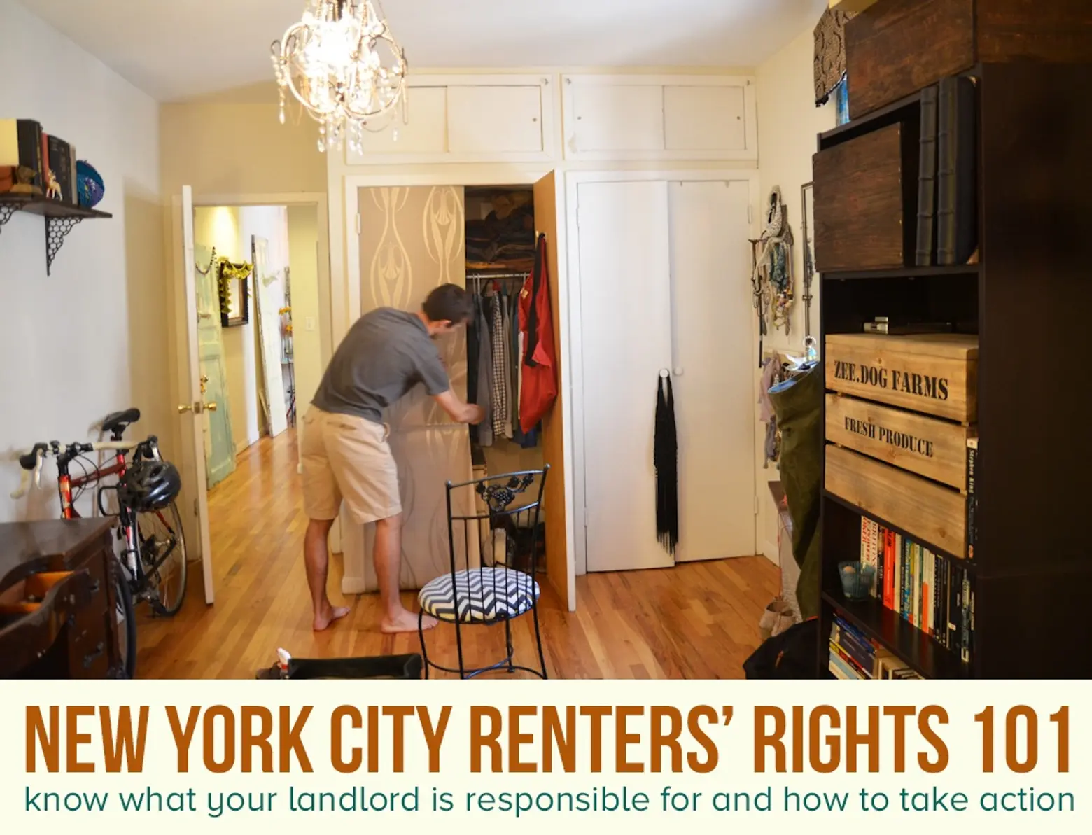 Renters’ Rights 101: Know what your landlord is responsible for