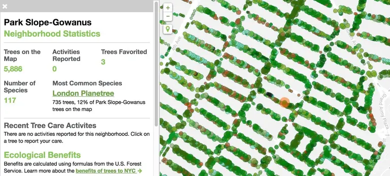 MAP: NYC has more than 666,000 street trees, up 12 percent since 2006