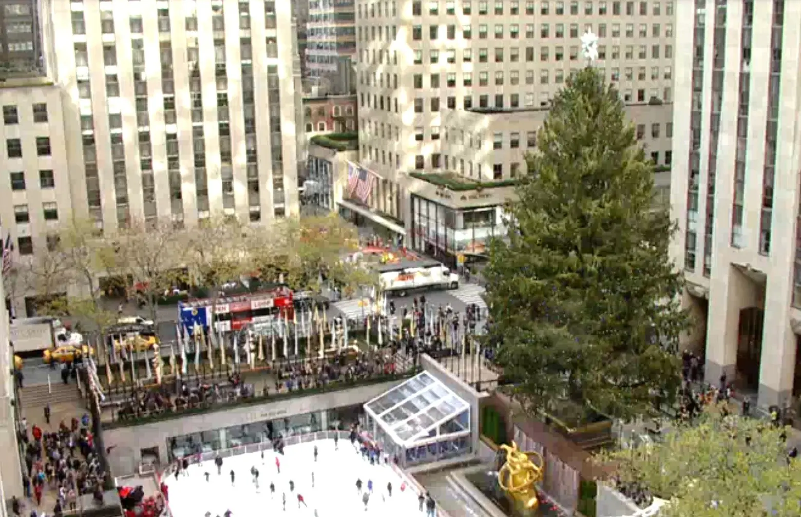 Watch a live feed of the Rockefeller Center Christmas Tree; new Union Square Cafe opens next week