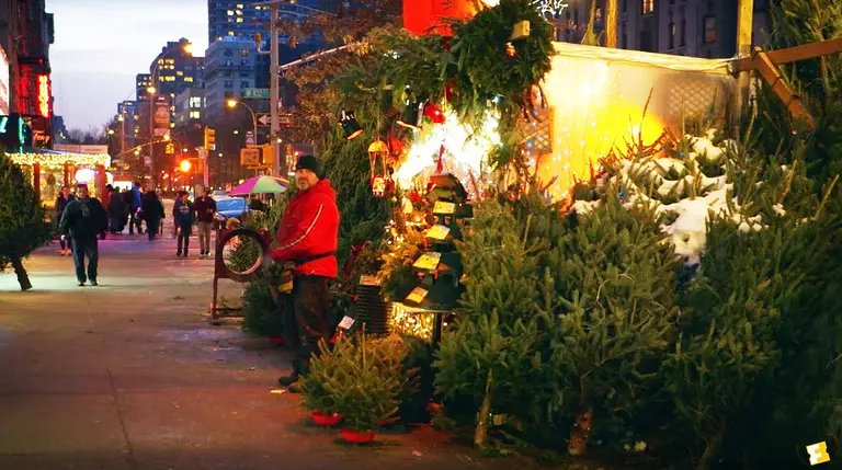New documentary ‘Tree Man’ explores the lives of NYC’s Christmas tree sellers