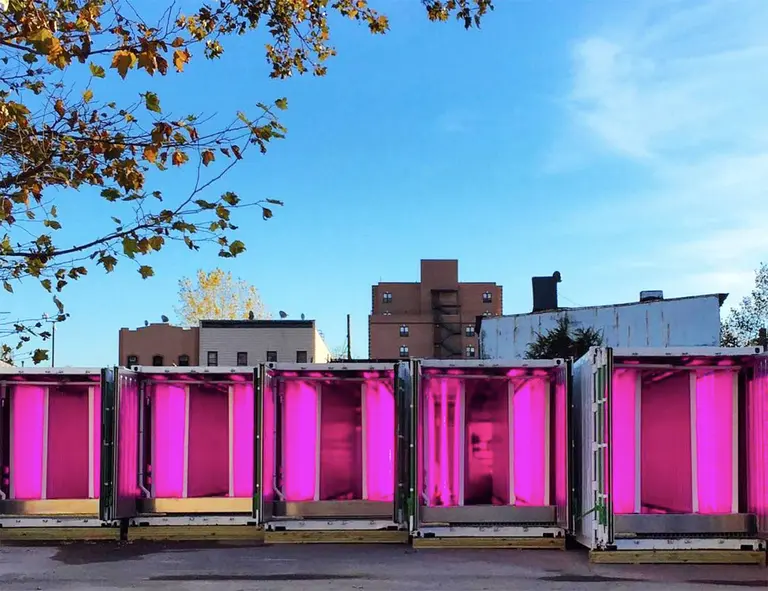 Brooklyn farmers are growing crops inside a shipping container in a parking lot