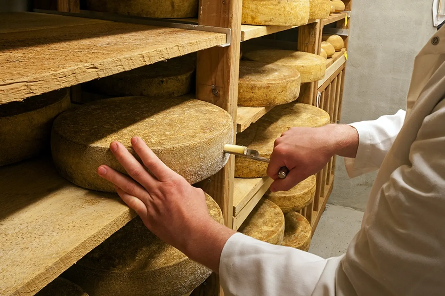 Murray's Parmigiano Reggiano Shredded Cheese, 1 ct - Ralphs