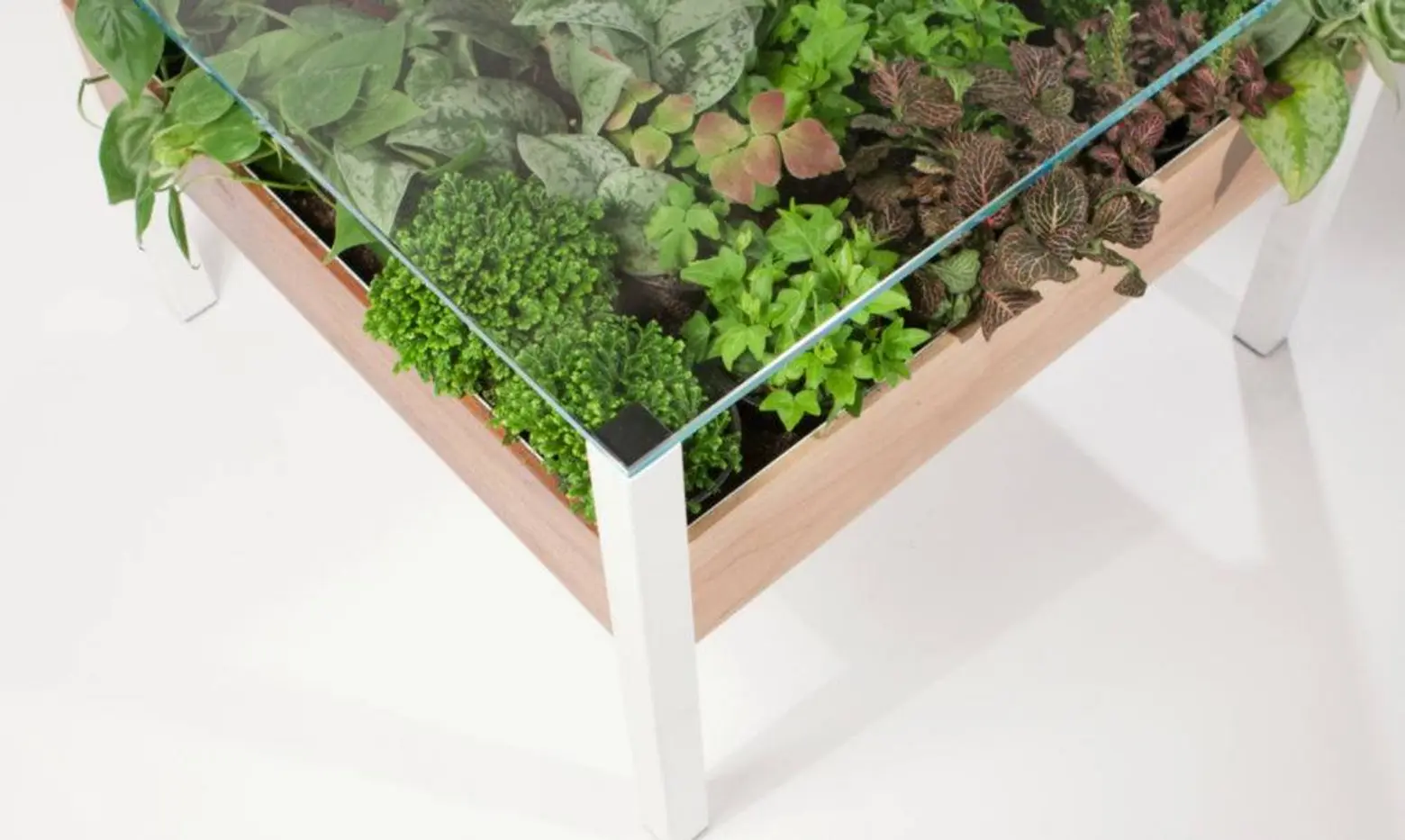 living table, Habitat Horticulture