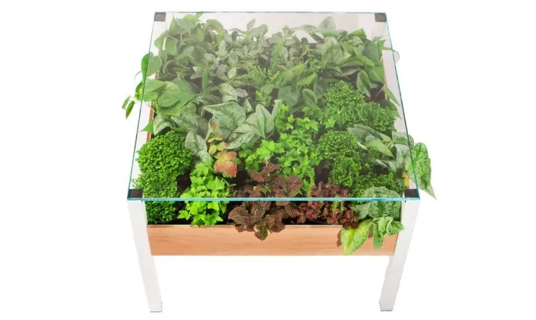 The Living Table: A self-regulated planter-table perfect for small spaces