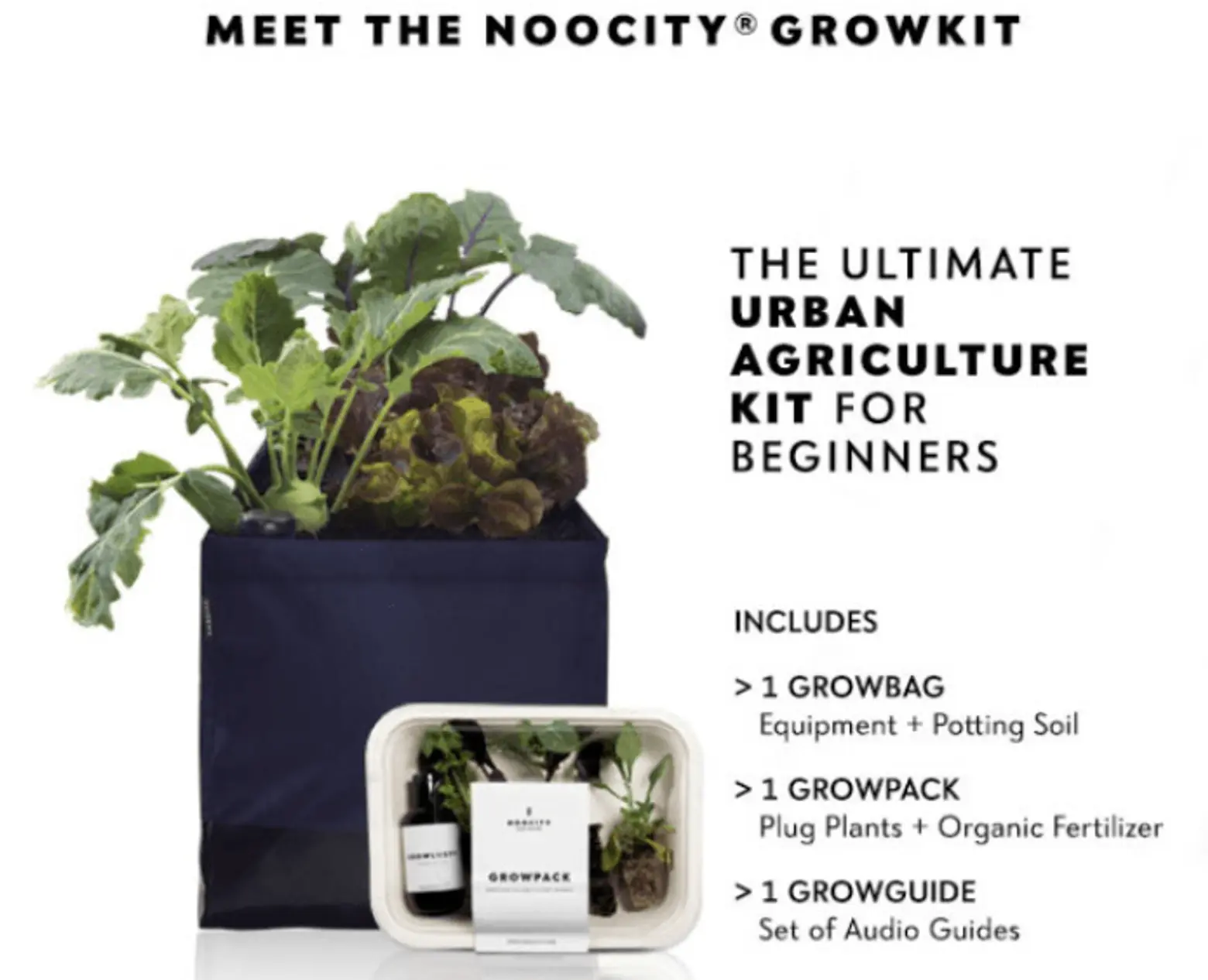 Grow Kit, NooCity, Urban Garden