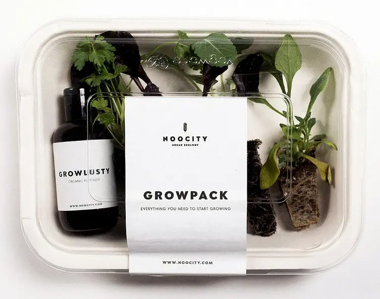 Noocity’s all-inclusive ‘Growkit’ is perfect for urban green thumb wannabes