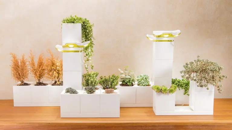 The LeGrow modular ‘smart garden’ is a LEGO-like system that makes indoor planting easy