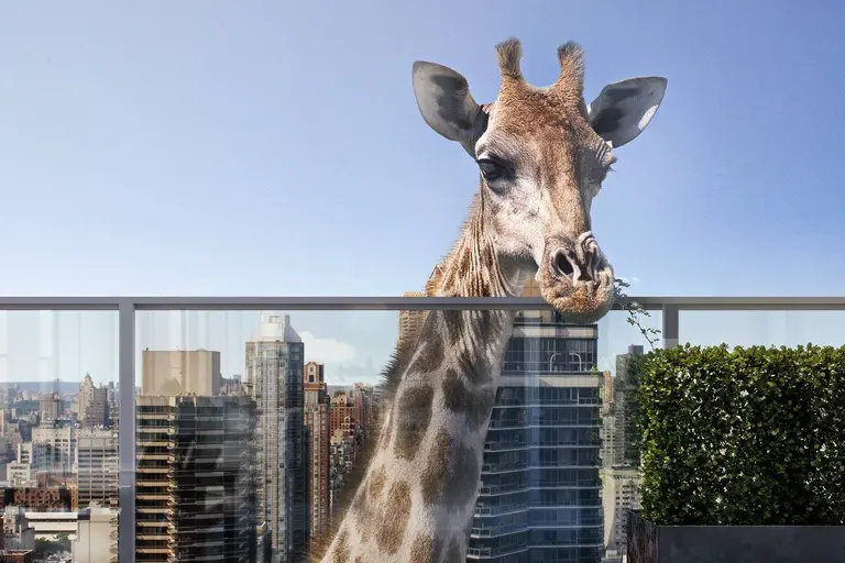 Developer turns marketing new condos into a three-ring circus, complete with life-sized zoo animals