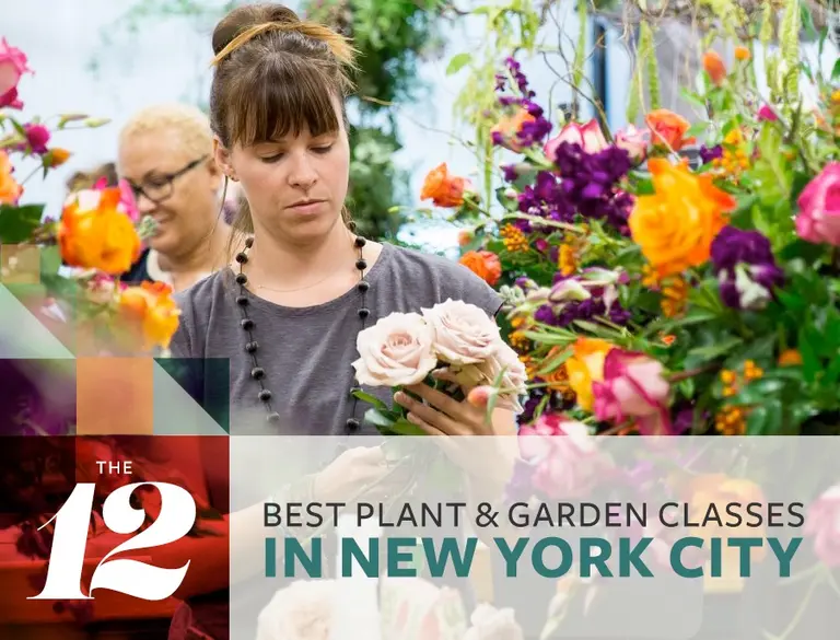 12 places for gardening, plant, and flowers classes in NYC