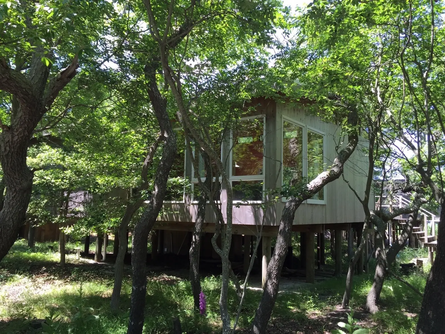 $700K modern ‘tree house’ on Fire Island is a minimalist’s dream summer getaway