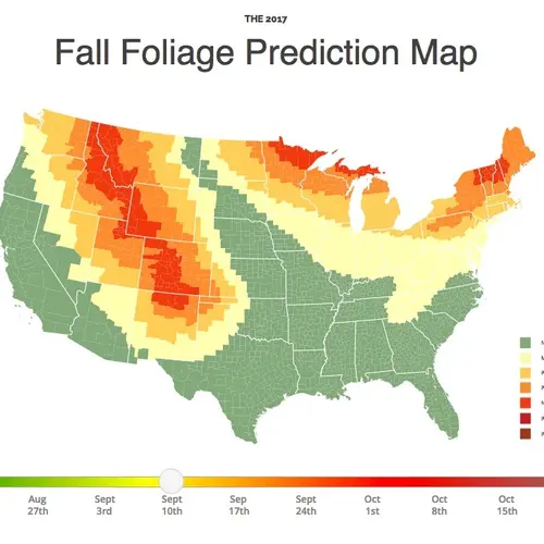 MAP: Find out when fall foliage will hit its peak in your area | 6sqft