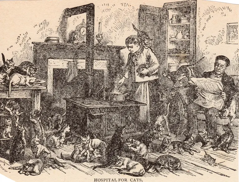 On the Lower East Side in the 19th century, a kooky cat lady took in more than 50 feline friends