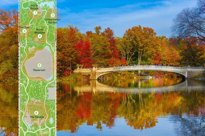 MAP: Find the colorful fall foliage of Central Park’s 20,000 trees | 6sqft
