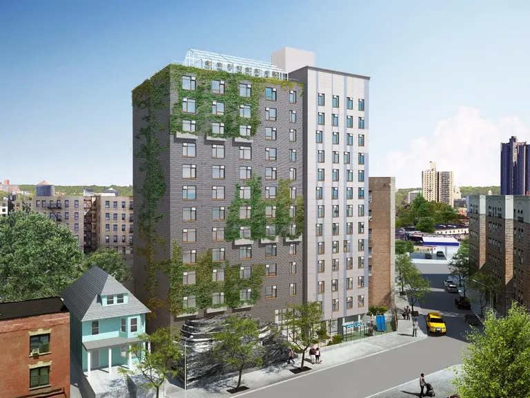 Live in an affordable Bronx building with a rooftop garden and greenhouse, from $883/month