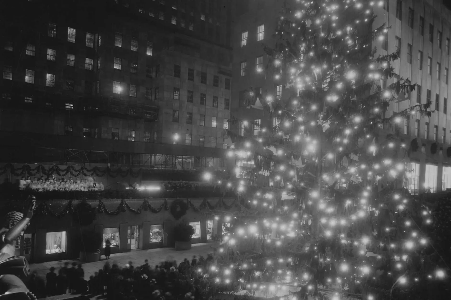 89TH ANNUAL ROCKEFELLER CHRISTMAS TREE LIGHTING, NYC — Average Socialite